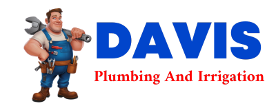 Trusted plumber in LEMMON